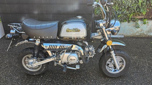 Skyteam gorilla monkey 125 - monkey,
