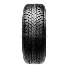 Winter-Reifen 225/45R17 91H