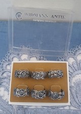 6 Traumhafte versilberte