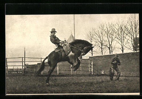 Ansichtskarte reiter auf pferd - auf,