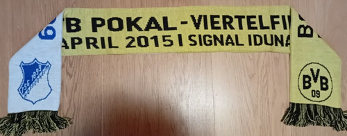 Borussia dortmund bvb tsg - 09,