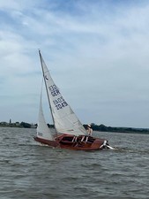 Schwertzugvogel G2049 -