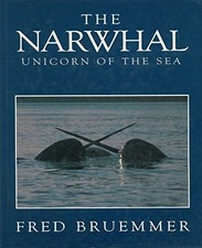 The Narwhal: Unicorn of the