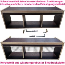 Schwalben nistkasten - schwalben,