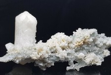 ☆Schneweiße Stilbit auf