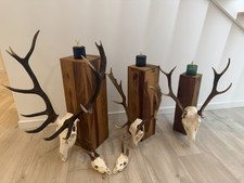 Exklusive Jagd-Dekoration 5
