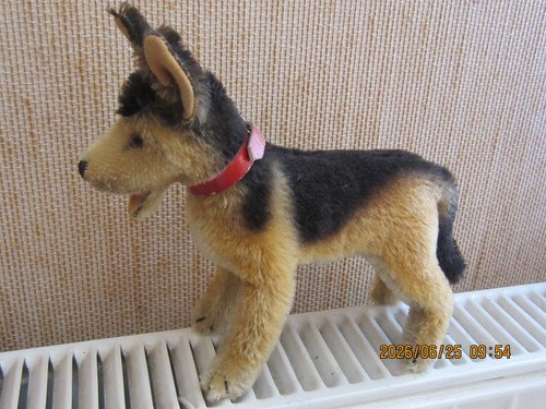 Steiff hund arco von - steiff,