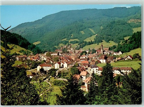 10335637 7868 todtnau - -,