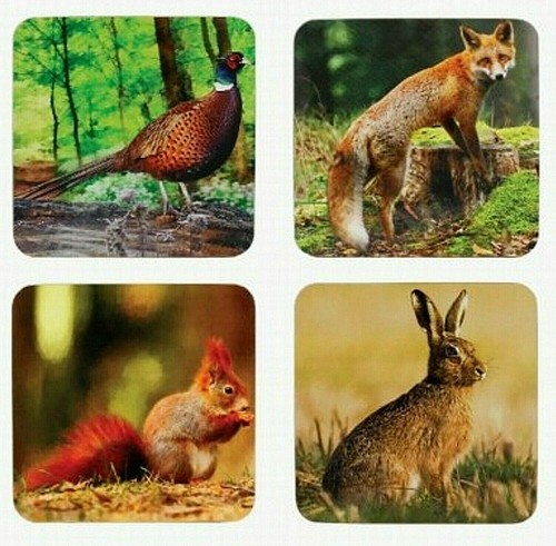 4er set untersetzer wildlife - 4er,