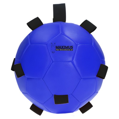 Maximus fun play - play, blau