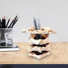 Wirbelsäule Vase Dekorative