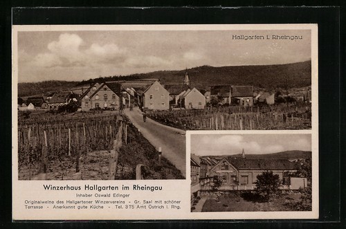 Hallgarten rheingau - ak,
