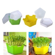 Keimschale für mit Deckel