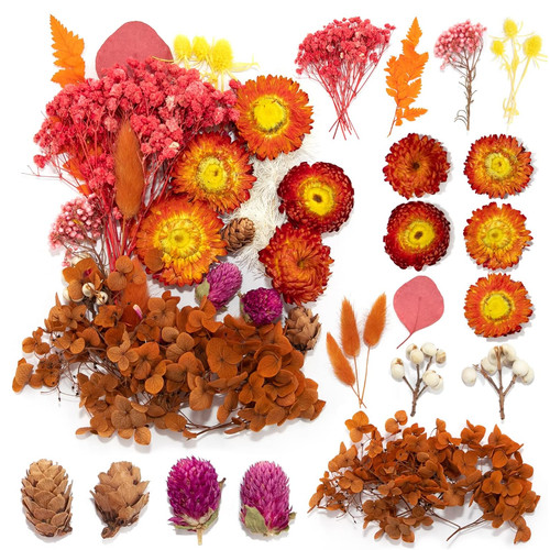 Getrocknete blumen set - getrocknete,