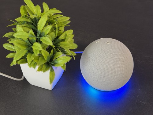 Amazon alexa echo dot - alexa,