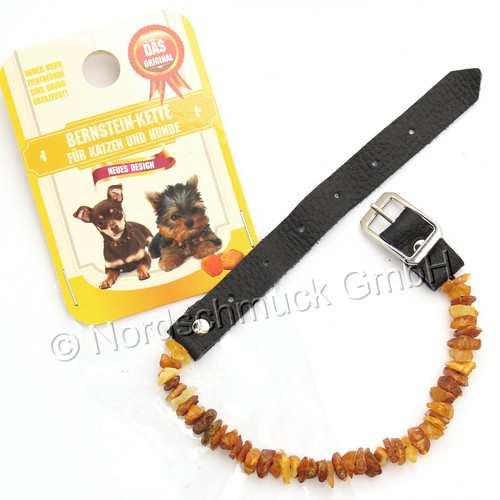 Bernsteinkette hund katze - bernsteinkette,