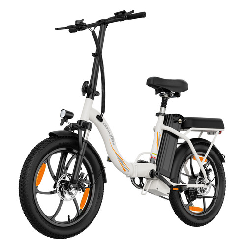 Zoll elektrofahrrad - 20,