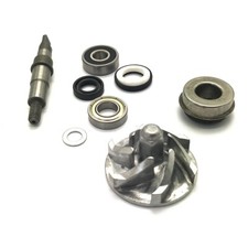 Water Pump Assy for Bashan