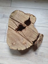 Baumscheibe holzscheibe - baumscheibe,