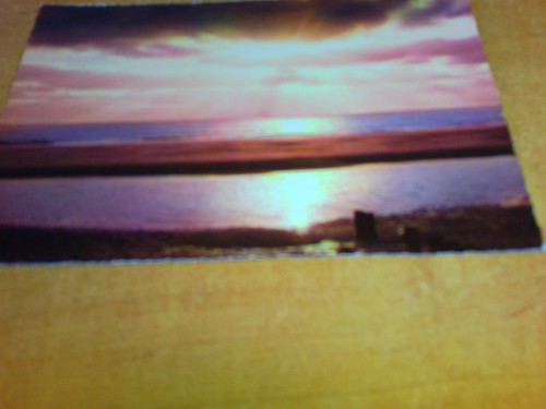 Insel juist - ,