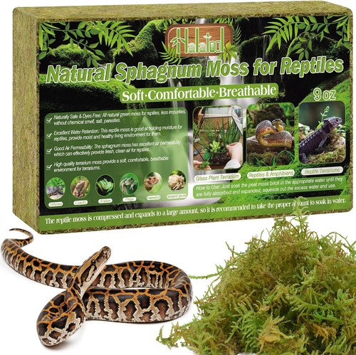 260g premium grünes - 260g,