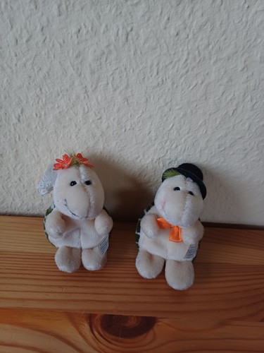 Nici brautpaar schildkröten - nici,