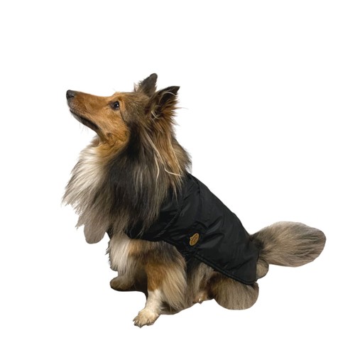 Fashion dog hunde regenmantel - dog, hunde-regenmantel