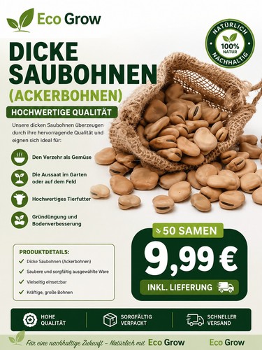 Dicke saubohnen samen - dicke,