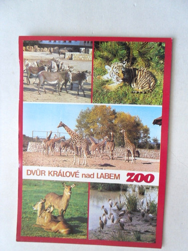 Dur kralove cssr zoo zebra - dur,