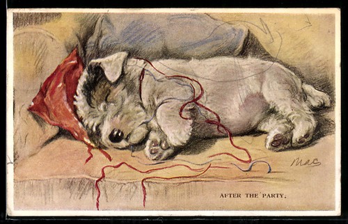 Ansichtskarte schlafender hund - ansichtskarte,