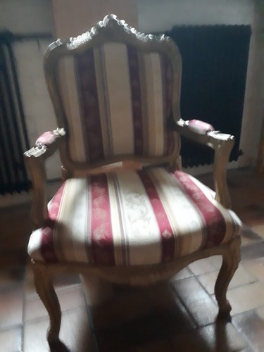 Barocksessel neu gepolstert - ,