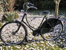 Gazelle Damenhollandrad "antik"