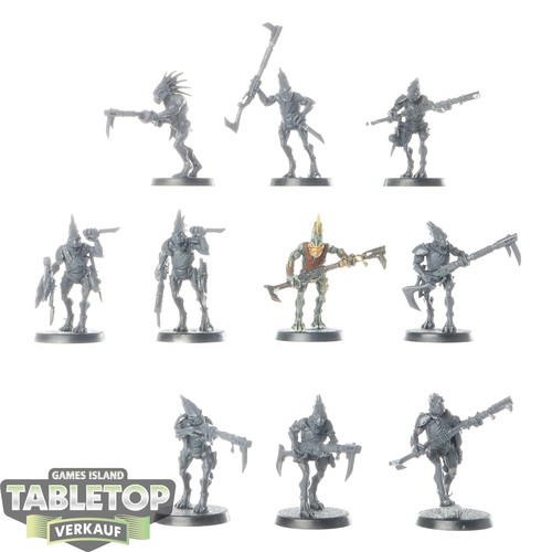 Tau empire 10x - tau,