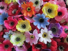 20 tolle BLÜTENKÖPFE 5,50cm