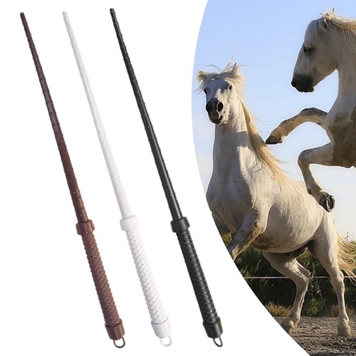 Reitgerte 60cm pferdegerte - 60cm,