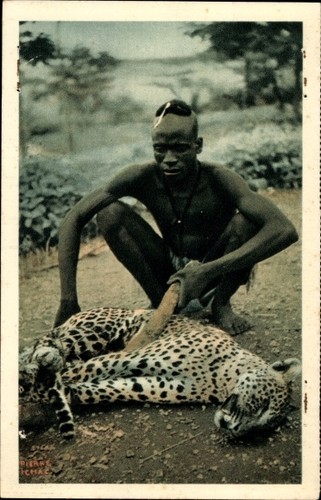 Afrika leopard afrikaner - ak, afrika,