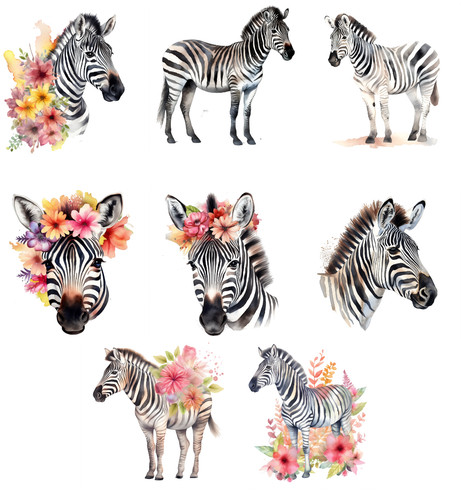 Bügelbild bügelmotiv zebra - bügelbild,