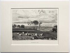 William Turner - Pevensey Bay-