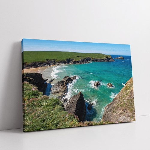 Polly joke bay bei - joke, bay,