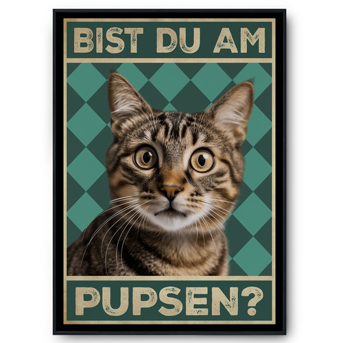 Bist pupsen katzen - bist, am