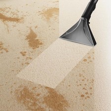 6L Kärcher Teppichreiniger RM