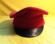 QUEENS ROYAL IRISH HUSSARS