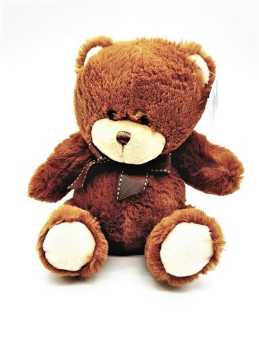 Plüsch teddy bär - plüsch,