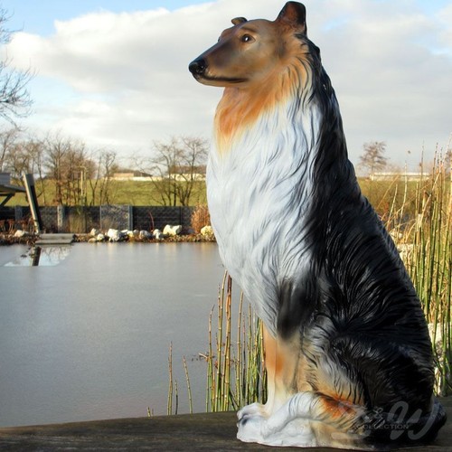 Collie lebensgroß sitzend - collie,