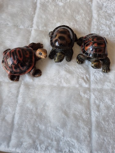 Schildkröten deko - 3,