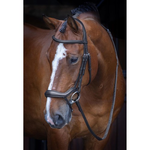 Shires velociti rapida - velociti,