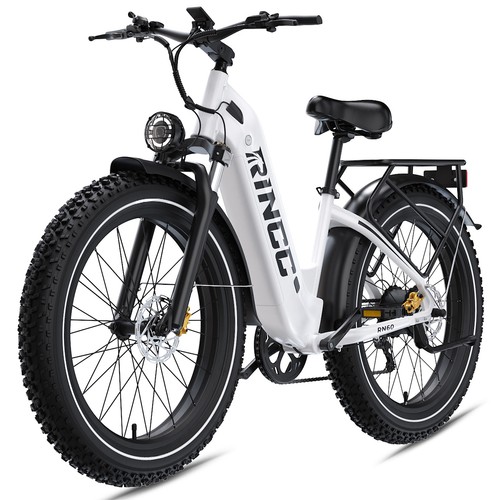 Elektrofahrrad 1000w 48v - 26",