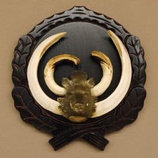 Keilerwaffen Wildschweinwaffen (Sus scrofa) CIC 114,65 IP Trophäe Keiler Gewaff