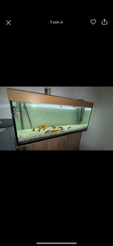 Aquarien set 300 - aquarien,