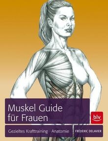 Muskel guide für frauen - muskel,